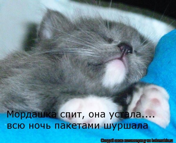 Спать юмор