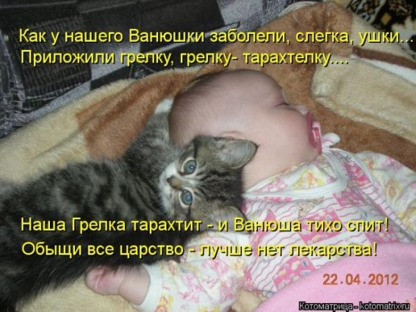 Обезьяна в постели