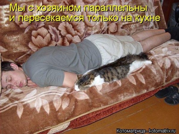 Я спать прикол