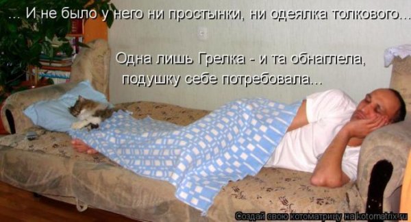 Смешной сон
