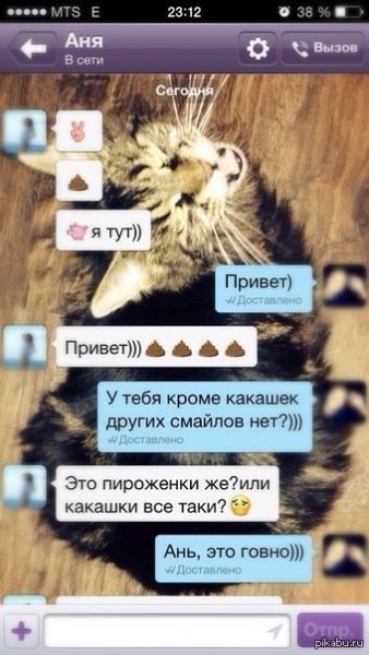 Статусы для ватсапа