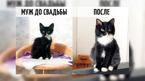 Прикольный фотошоп