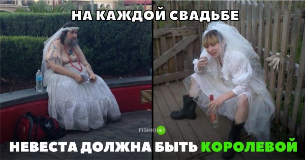 Прикольный мокрый кот