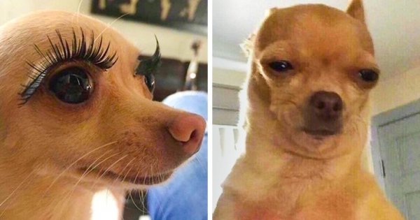 Прикольные Свадебные демотиваторы