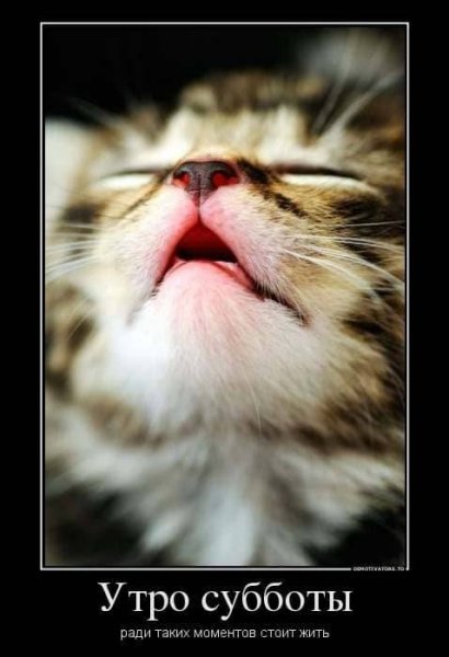 Утро субботы