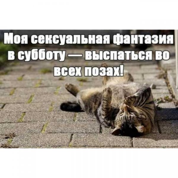 Суббота приколы