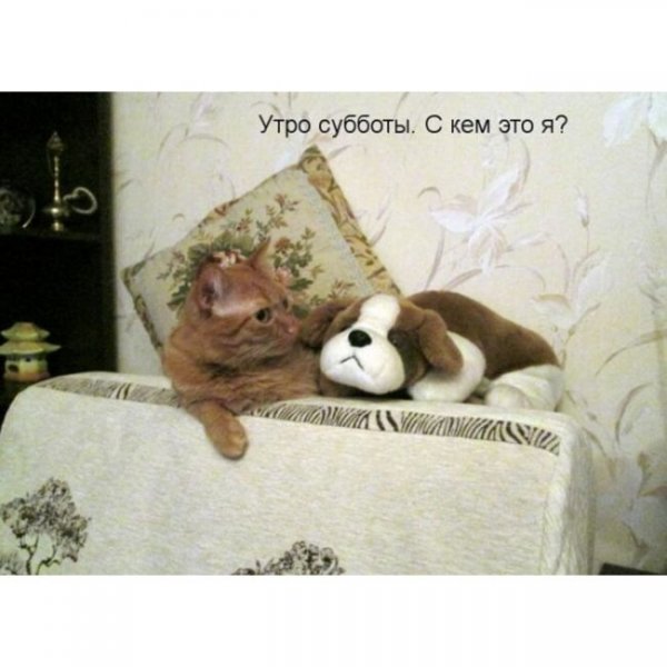 Утро субботы