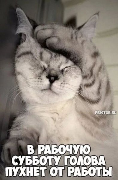 Суббота приколы