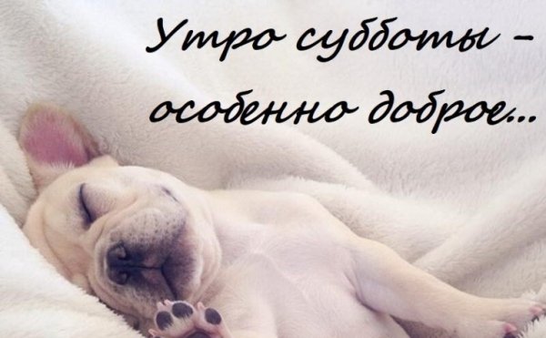 Утро субботы прикольные картинки