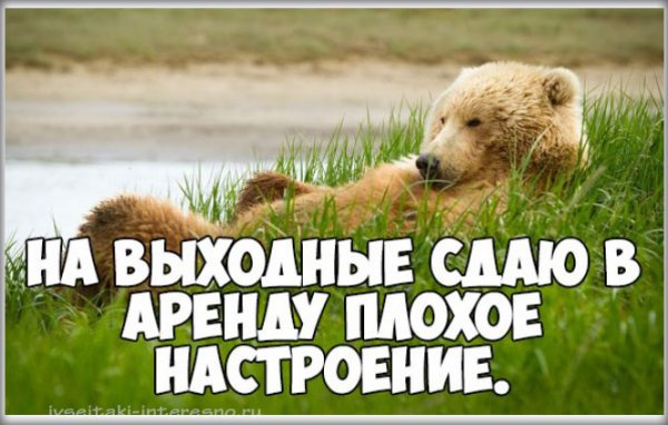 Высказывания про субботу прикольные