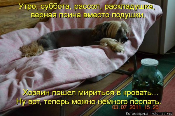 Доброе субботнее утро прикол