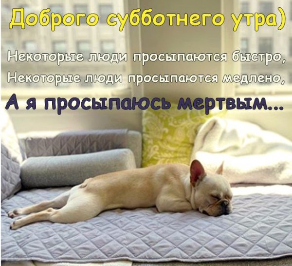 Доброе субботнее утро