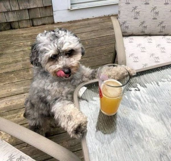 Позитивная Субботняя картинка