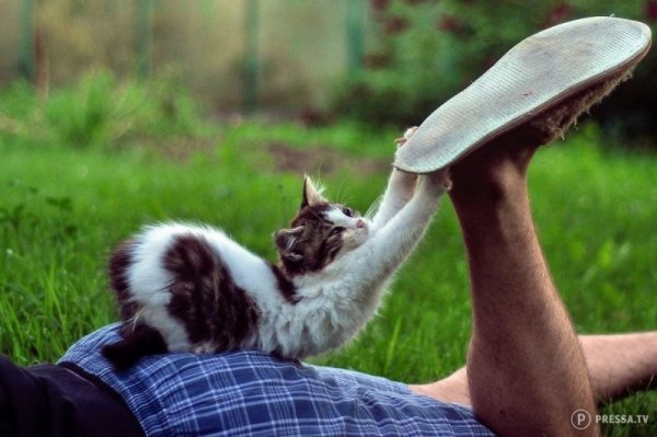 Прикольный позитивчик