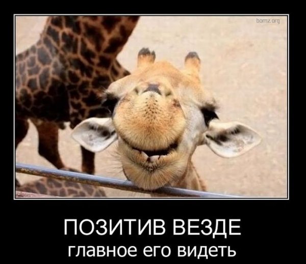 Позитивные демотиваторы для поднятия настроения