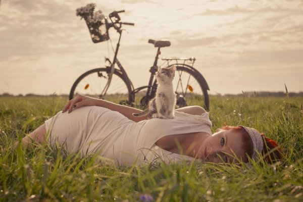 Девушка на велосипеде в поле