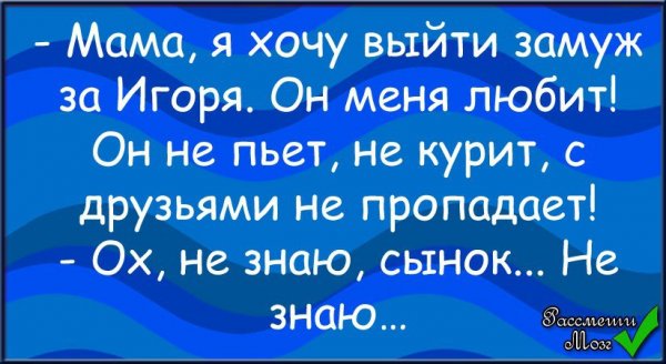 Приколы анекдоты смешные для ватсапа