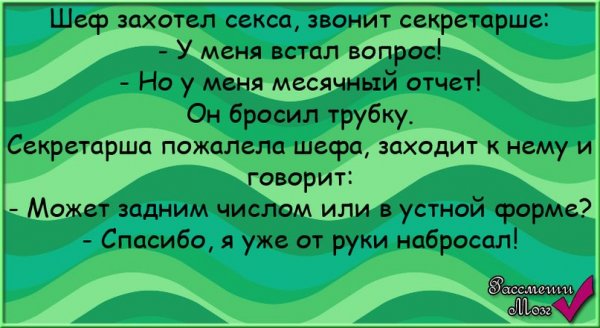 Прикольные статусы в ватсап