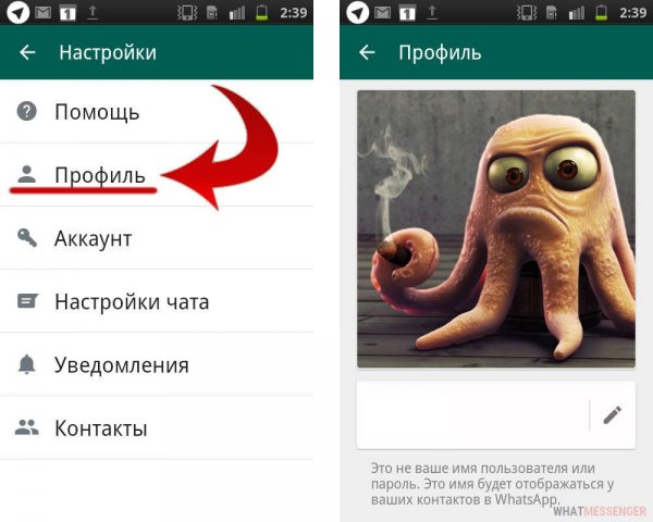 Шутки про группы в ватсапе