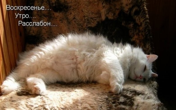 Утро воскресенья