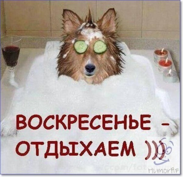 Воскресенье приколы