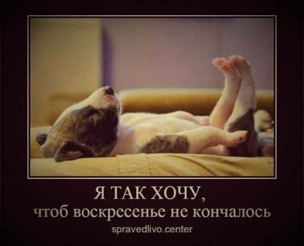 Воскресенье приколы