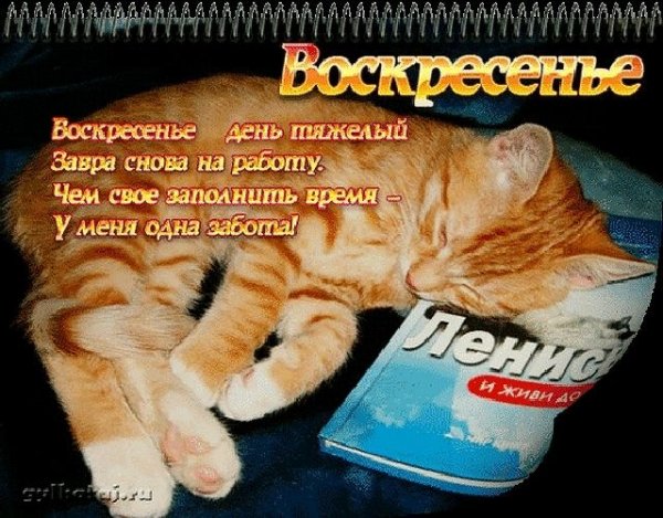 С добрым утром воскресенья