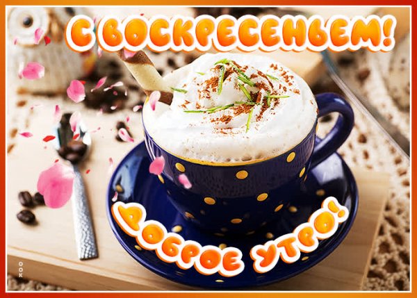 Воскресенье картинки прикольные