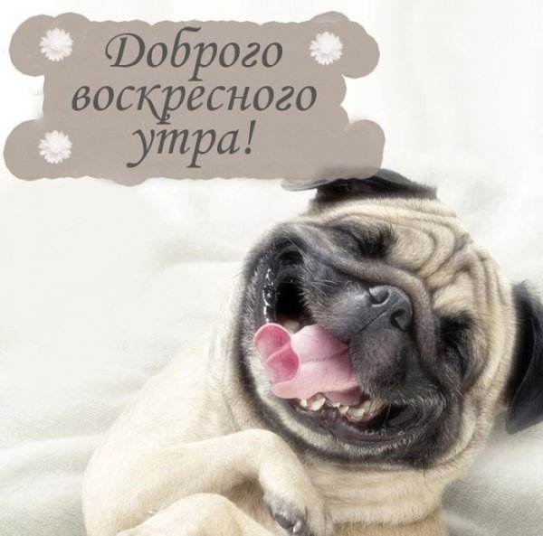 Высказывания про воскресенье