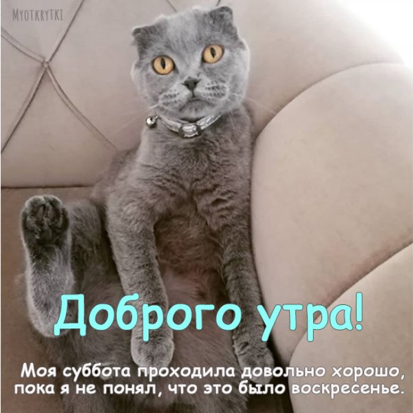 Доброе Воскресное утро прикольные