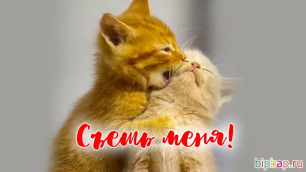 Хочу тебя картинки