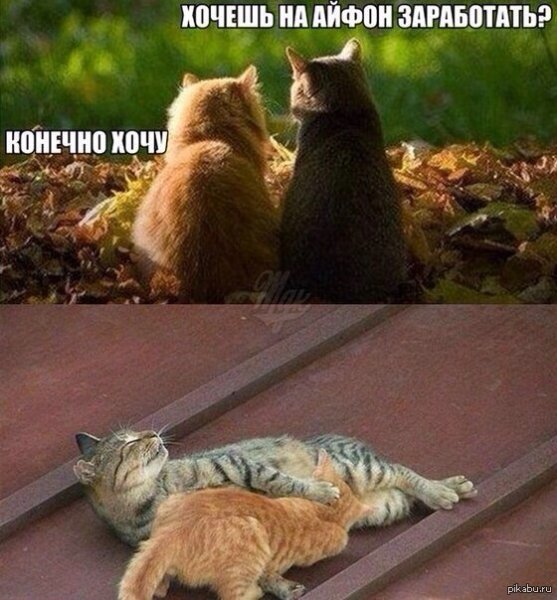 Любимому пупсику