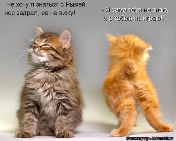 Может поцелуешь меня в знак примирения
