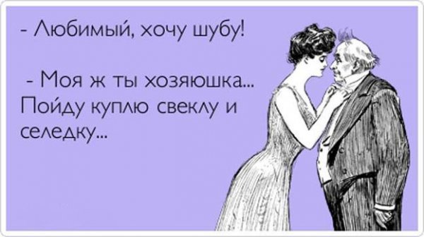 Смешные стихи про кошек