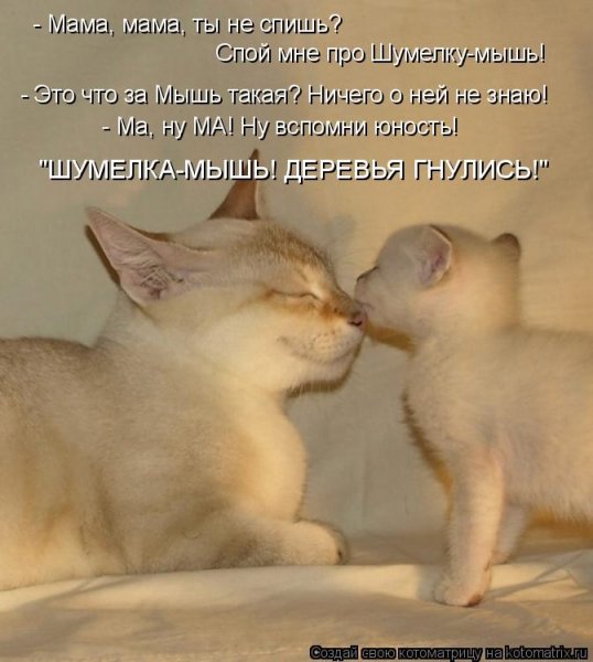 Картинки животные с надписями