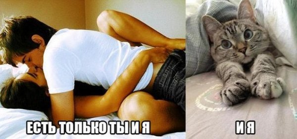 Приколы для поднятия настроения мужчине
