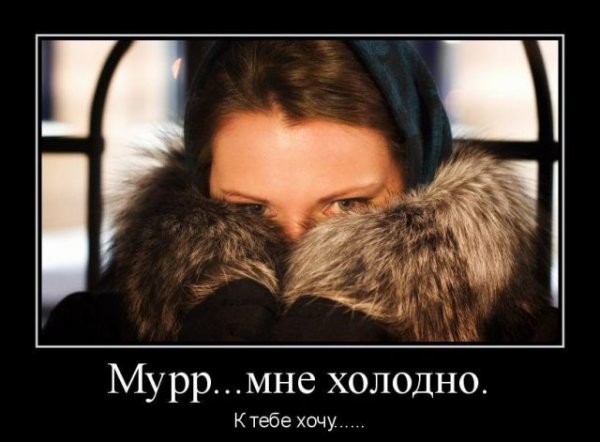 80 Процентов мужчин имитируют вкусный борщ