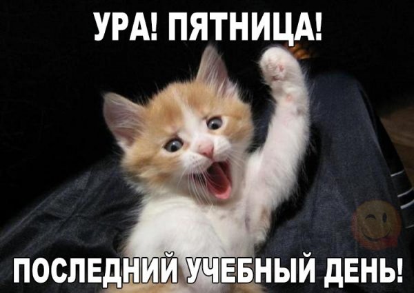 Всегда везде и всюду хочу могу и буду