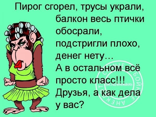 Смешные картинки как дела