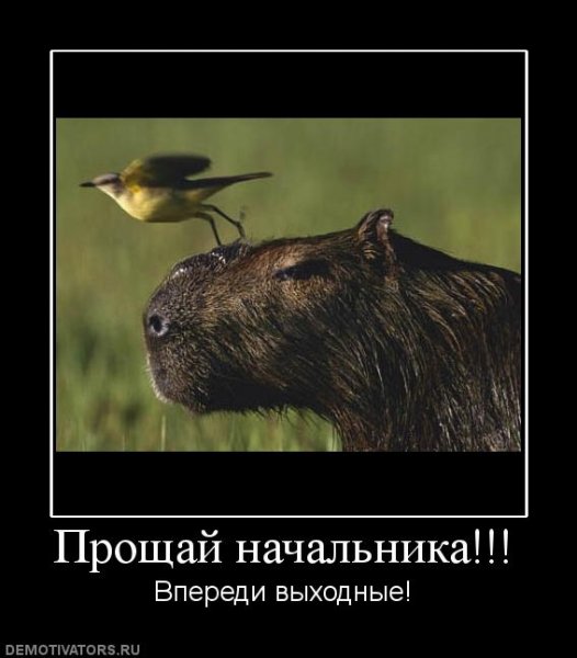 Анекдот про начальника и подчиненных