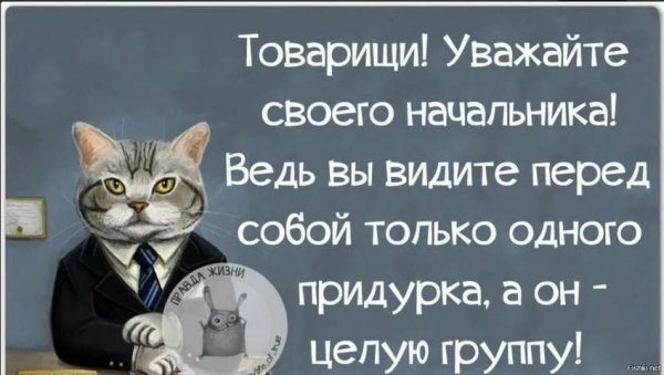 Приколы протначпльника