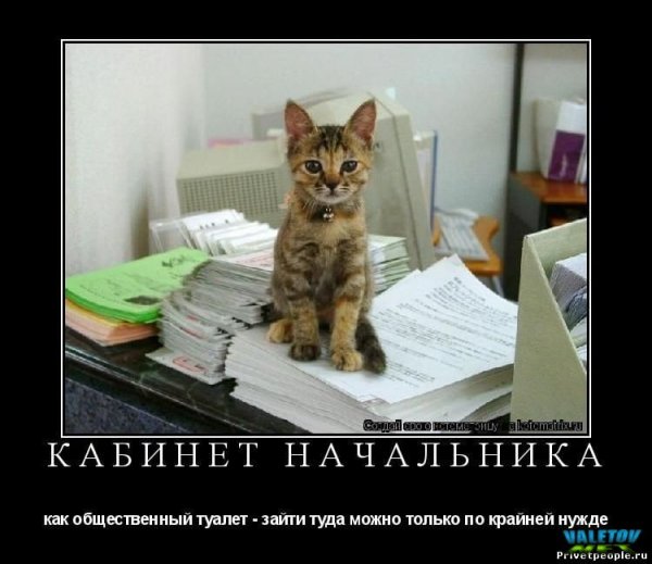 Шутки про начальника