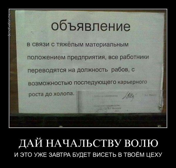 Приколы про шефа на работе