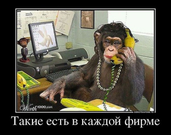 Приколы про начальство