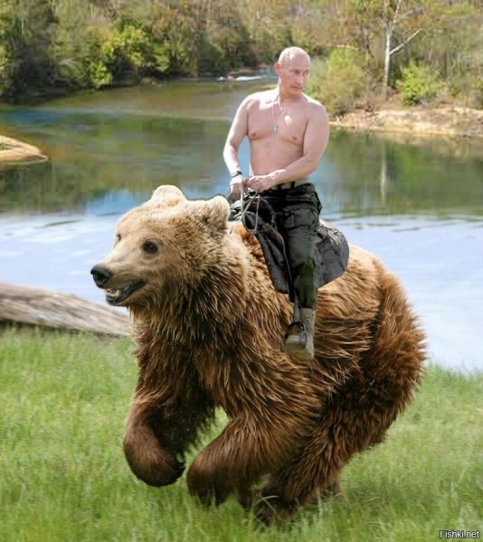 Владимир Путин на медведе