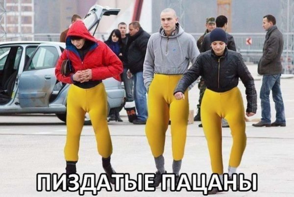 Повозка из автомобиля