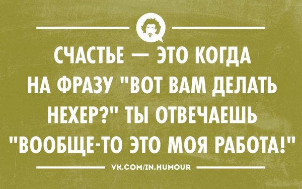 Смешные фразы про жизнь