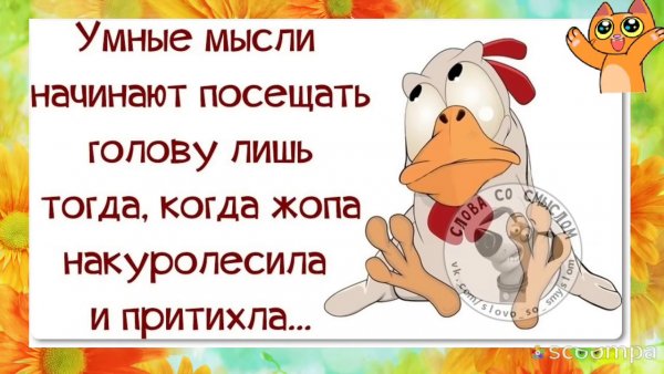 Интересные высказывания в картинках смешные