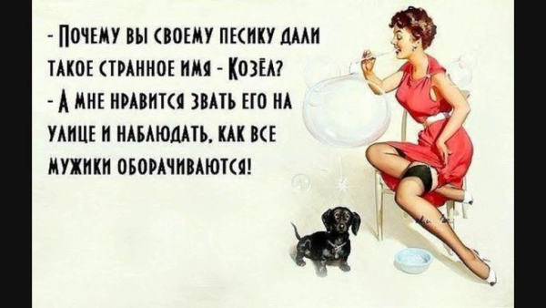 Смешные цитаты про женщин