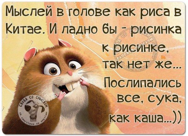 Веселые цитаты